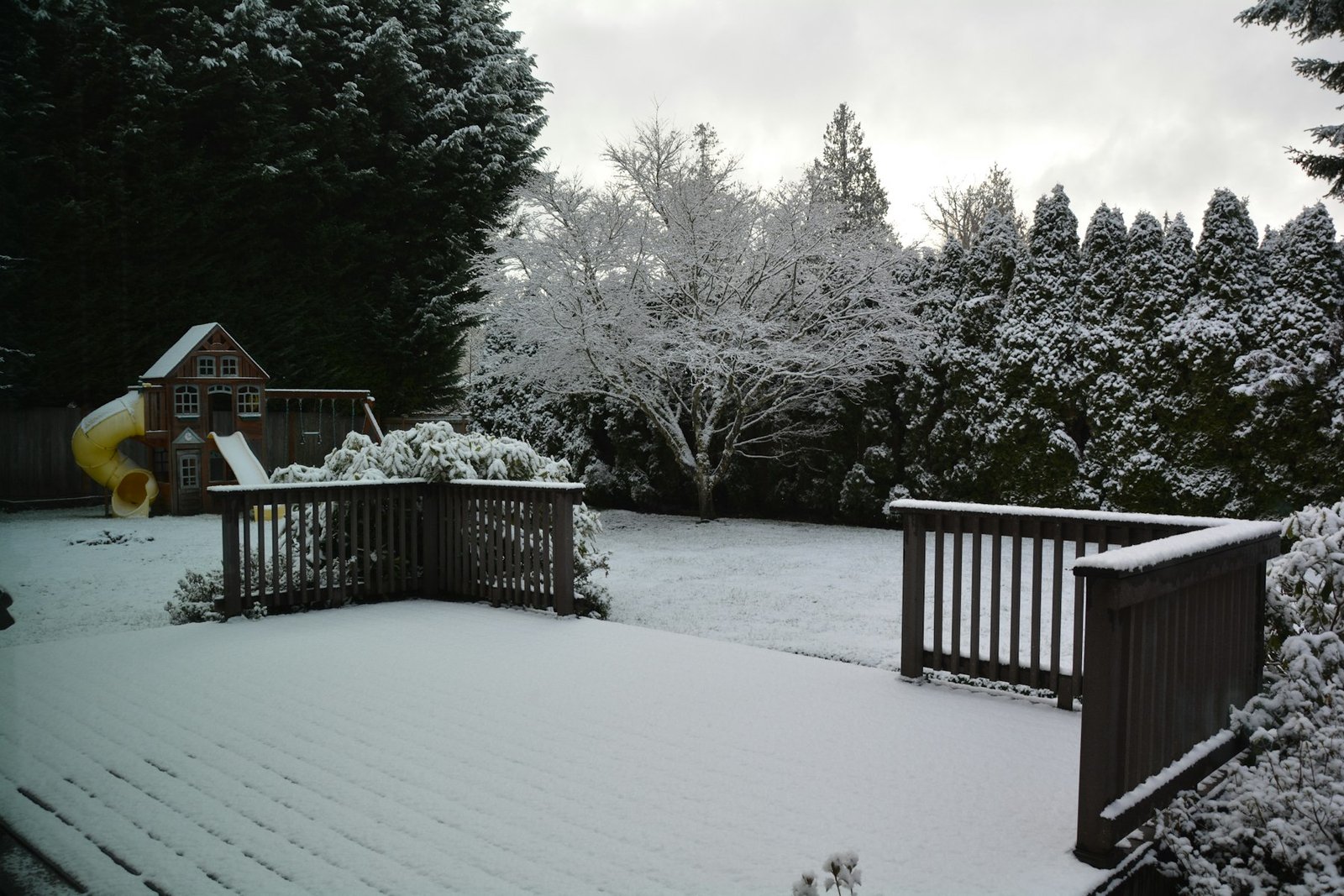 Snow lying on a wooden deck and railing in winter